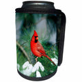 3dRose Danita Delimont - Cardinal - Northern Cardinal male in Pine tree in winter Marion County, Illinois - Can Cooler Bottle Wrap (cc_250946)
