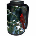 3dRose Danita Delimont - Cardinal - Northern Cardinal male in spruce tree in winter Illinois - Can Cooler Bottle Wrap (cc_250947)