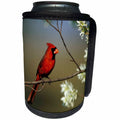 3dRose Danita Delimont - Cardinal - Northern Cardinal male on Flowering Serviceberry tree, Illinois - Can Cooler Bottle Wrap (cc_250949)