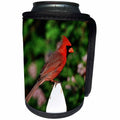 3dRose Danita Delimont - Cardinal - Northern Cardinal male on picket fence near Dwarf Korean Lilac - Can Cooler Bottle Wrap (cc_250952)
