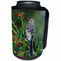 3dRose Danita Delimont - Mockingbird - Northern Mockingbird eating in China Holly, Marion County, Illinois - Can Cooler Bottle Wrap (cc_250954)