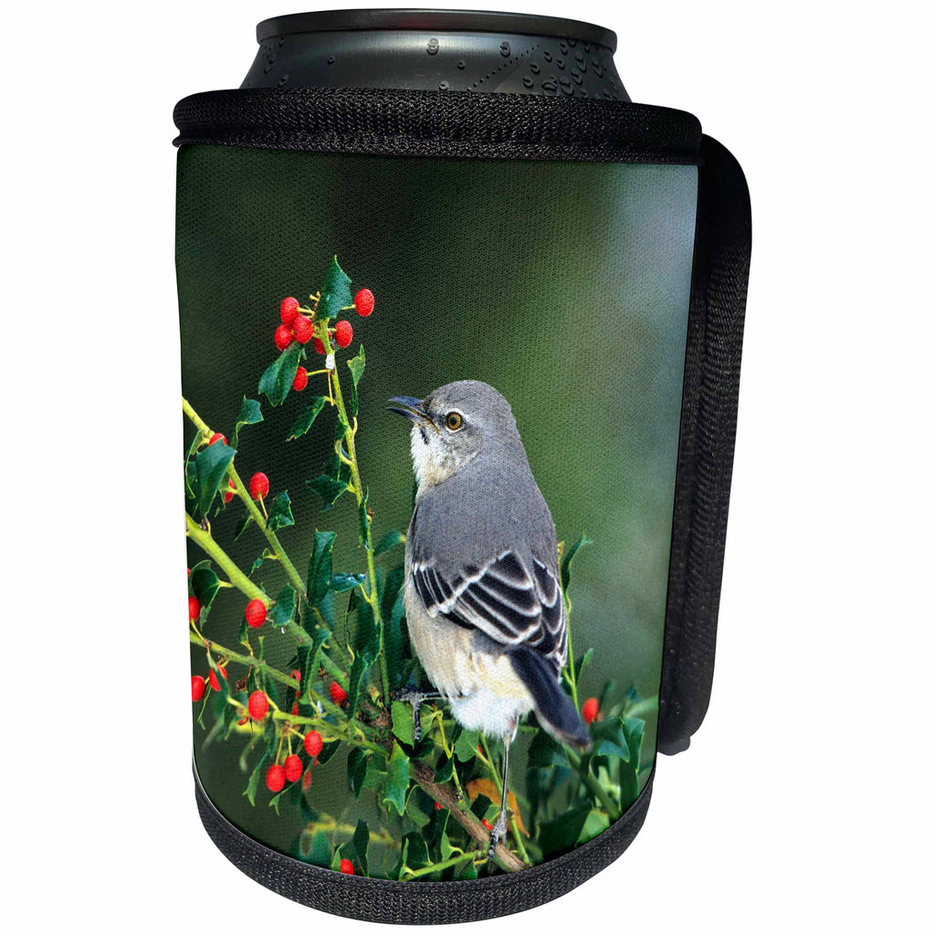 3dRose Danita Delimont - Mockingbird - Northern Mockingbird in China Holly, Marion County, Illinois - Can Cooler Bottle Wrap (cc_250955)