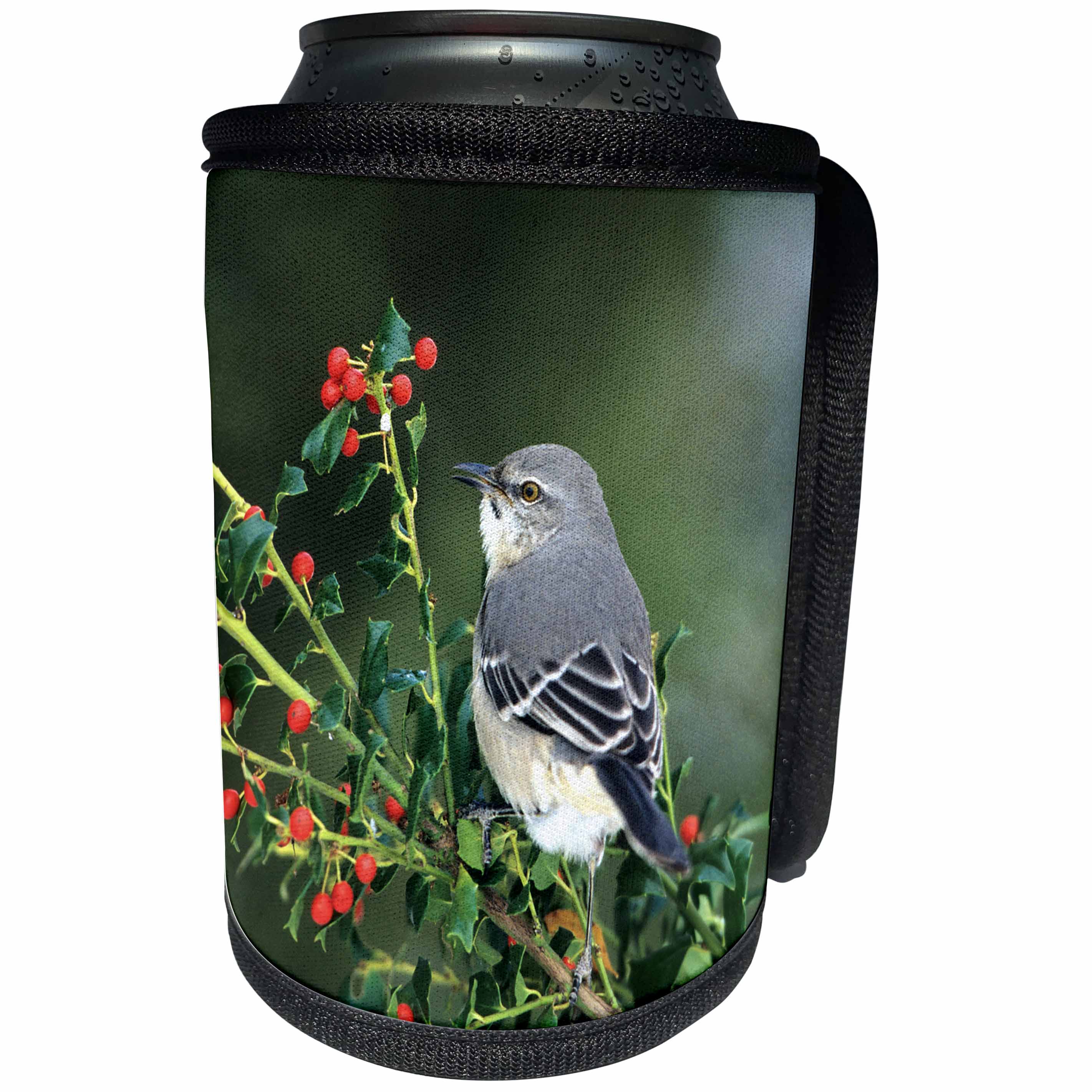 3dRose Danita Delimont - Mockingbird - Northern Mockingbird in China Holly, Marion County, Illinois - Can Cooler Bottle Wrap (cc_250955)