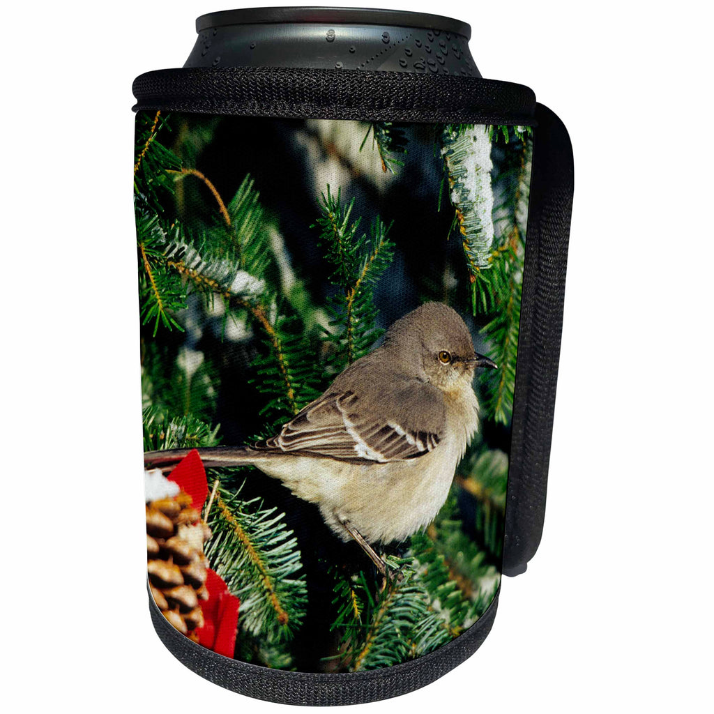 3dRose Danita Delimont - Mockingbird - Northern Mockingbird in decorated Fir tree in winter - Can Cooler Bottle Wrap (cc_250956)