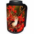 3dRose Danita Delimont - Mockingbird - Northern Mockingbird in Winterberry bush, Marion County, Illinois - Can Cooler Bottle Wrap (cc_250957)