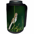 3dRose Danita Delimont - Sparrow - Song Sparrow, Male singing to secure his territory, Illinois - Can Cooler Bottle Wrap (cc_250960)