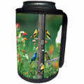 3dRose Danita Delimont - Bunting - Indigo Bunting, American Goldfinches and a House finch on feeder - Can Cooler Bottle Wrap (cc_250962)