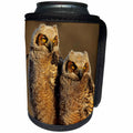 3dRose Danita Delimont - Owl - Great Horned Owls approx. six weeks old, Illinois - Can Cooler Bottle Wrap (cc_250973)