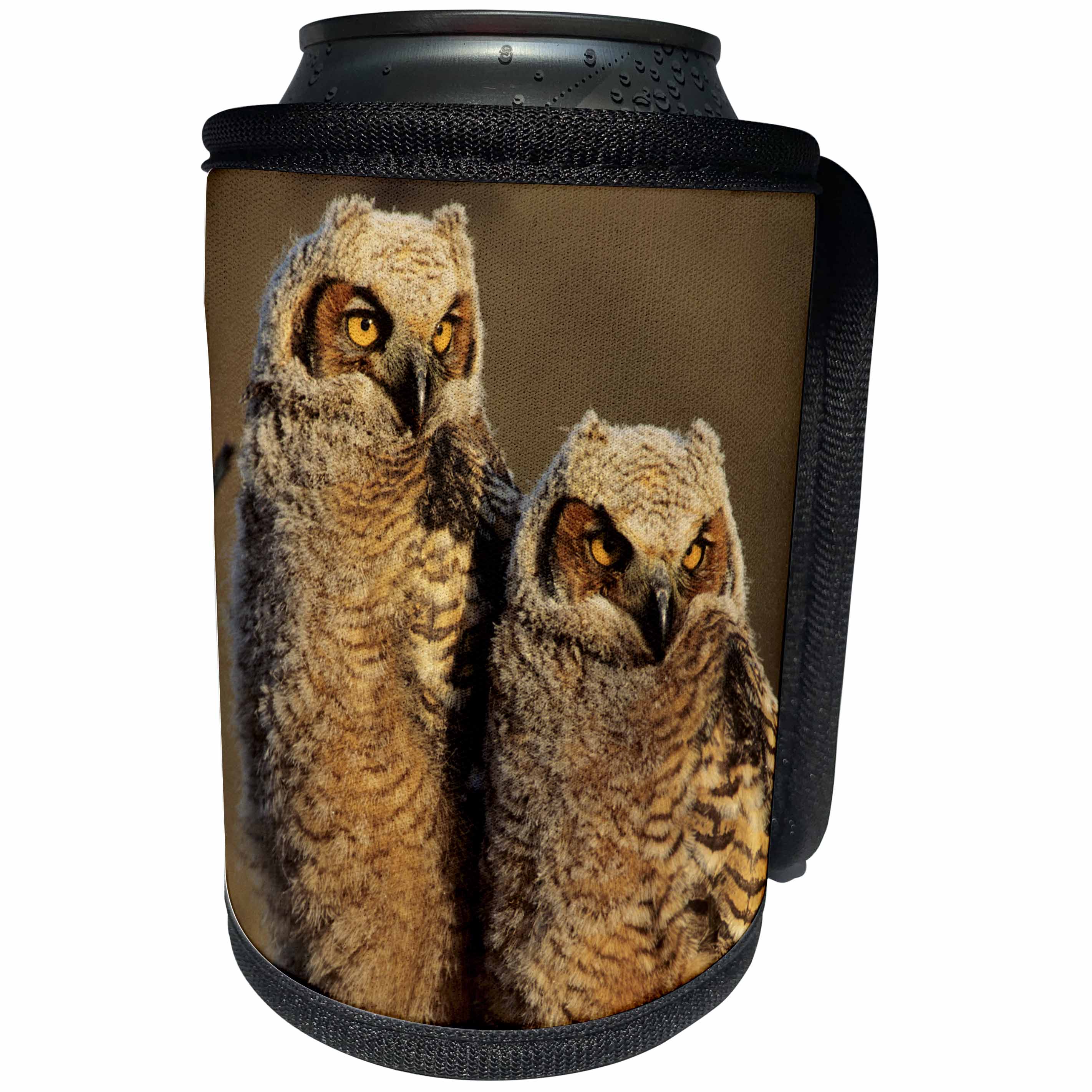 3dRose Danita Delimont - Owl - Great Horned Owls approx. six weeks old, Illinois - Can Cooler Bottle Wrap (cc_250973)