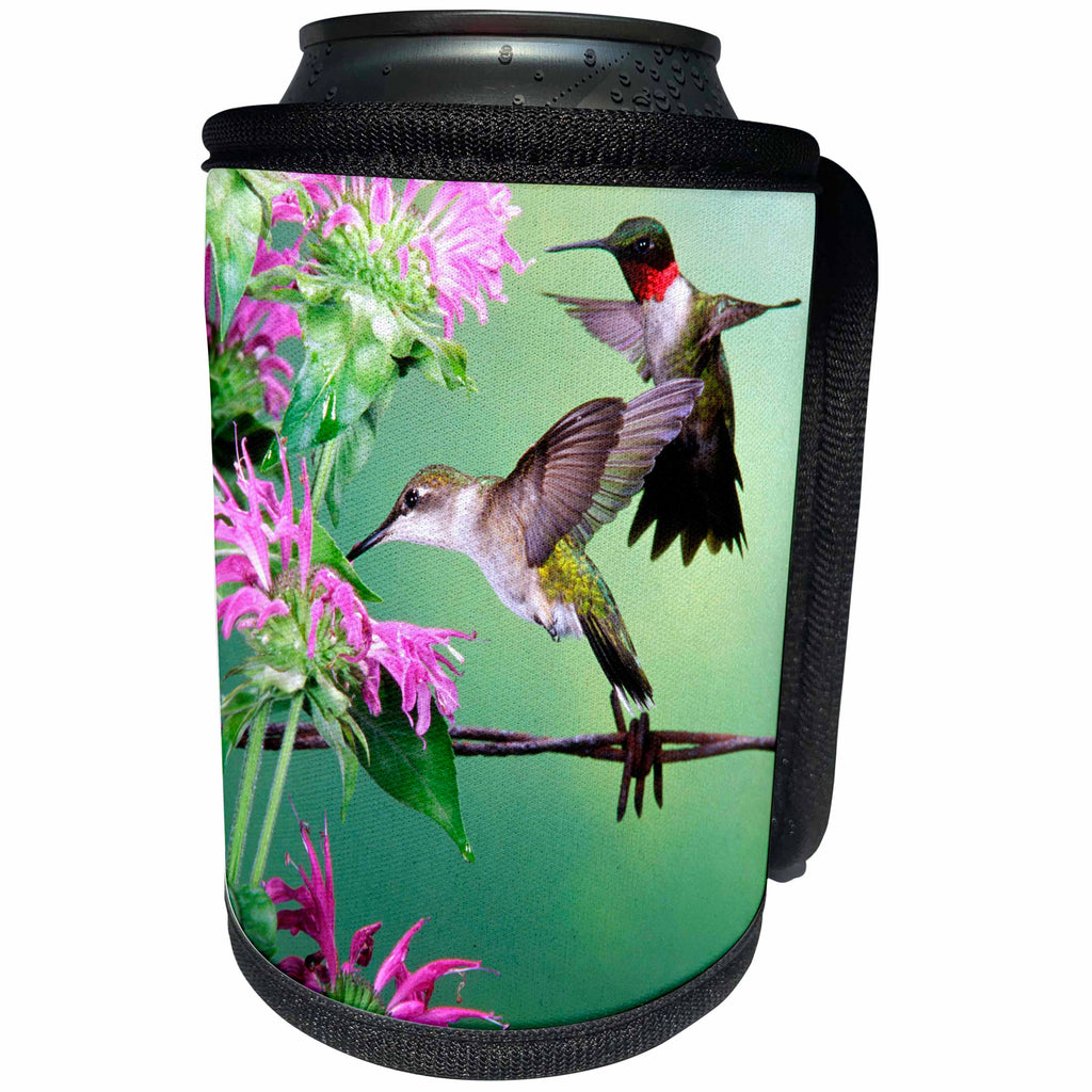 3dRose Danita Delimont - Hummingbird - Ruby-throated Hummingbird female and male at Bee Balm - Can Cooler Bottle Wrap (cc_250974)