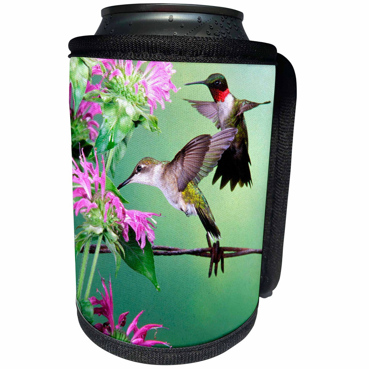3dRose Danita Delimont - Hummingbird - Ruby-throated Hummingbird female and male at Bee Balm - Can Cooler Bottle Wrap (cc_250974)