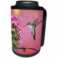 3dRose Danita Delimont - Hummingbird - Ruby-throated Hummingbird female at Garden Phlox - Can Cooler Bottle Wrap (cc_250975)