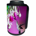 3dRose Danita Delimont - Hummingbird - Ruby-throated Hummingbird female at Hybrid Fuchsia. - Can Cooler Bottle Wrap (cc_250977)
