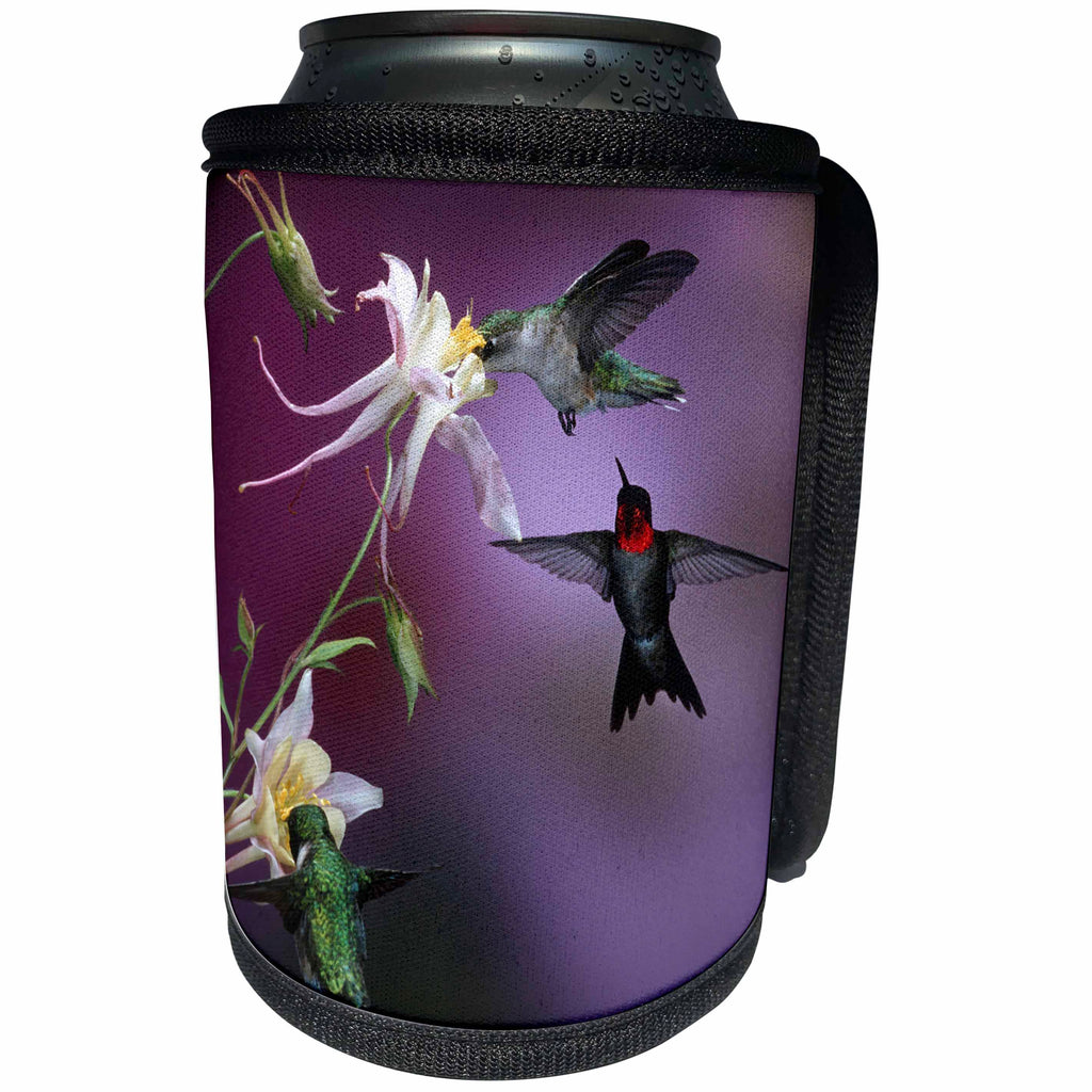 3dRose Danita Delimont - Hummingbird - Ruby-throated Hummingbirds males and female at McKana Hybrid Columbine - Can Cooler Bottle Wrap (cc_250979)