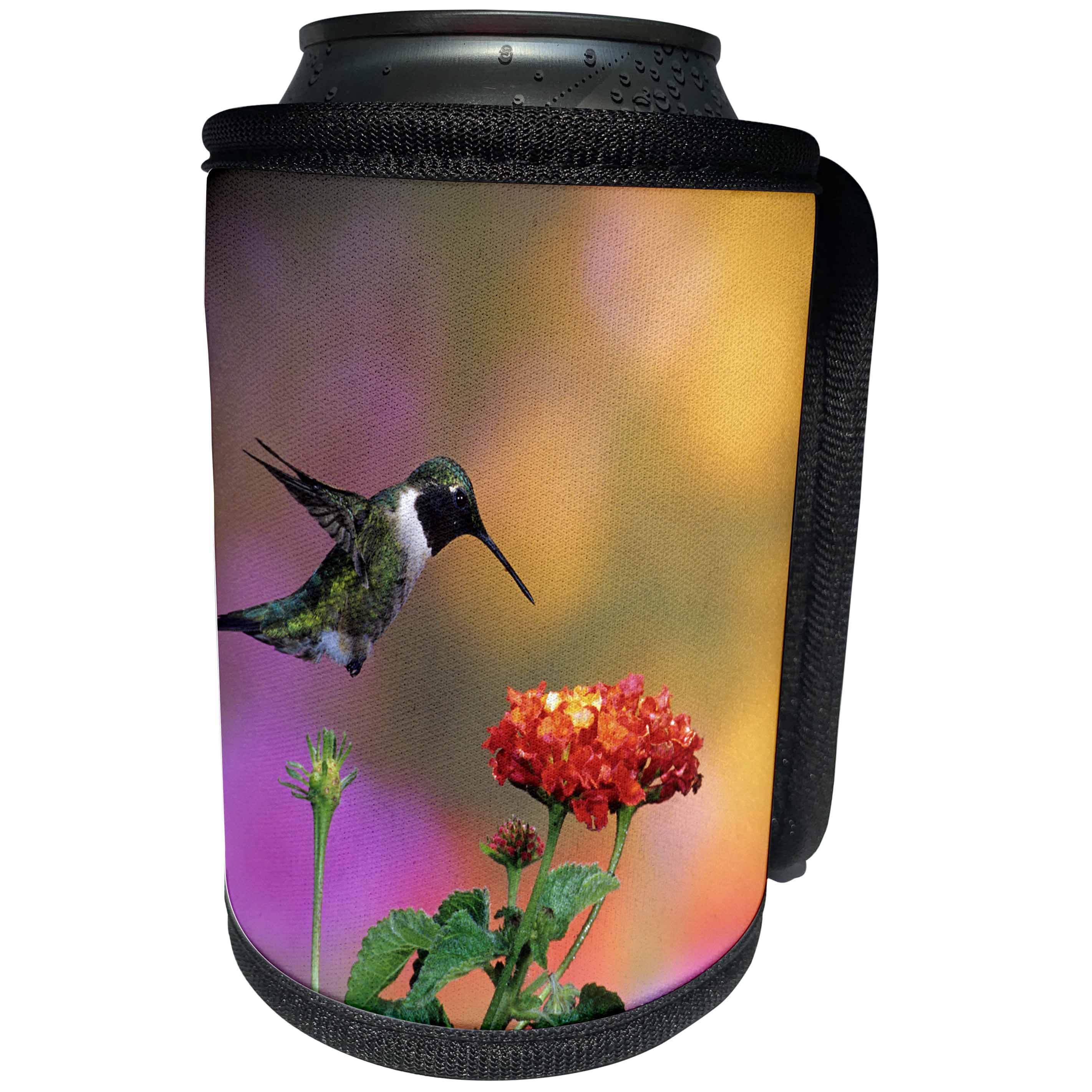3dRose Danita Delimont - Hummingbird - Ruby-throated Hummingbird male at Dallas Red Lantana - Can Cooler Bottle Wrap (cc_250980)