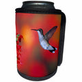 3dRose Danita Delimont - Hummingbird - Ruby-throated Hummingbird on Scarlet Sage, Marion County, Illinois - Can Cooler Bottle Wrap (cc_250985)