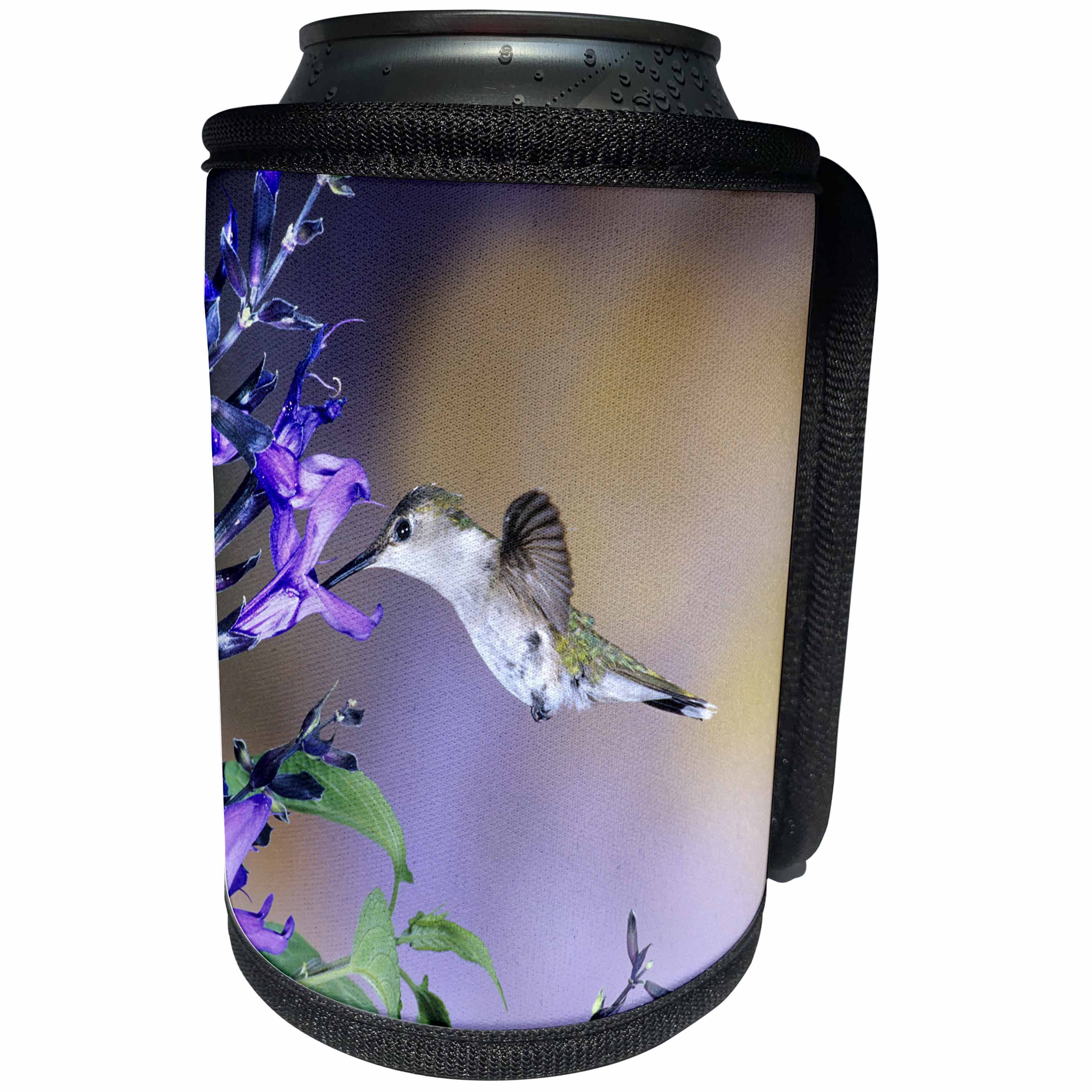 3dRose Danita Delimont - Hummingbird - Ruby-throated Hummingbird on Black and Blue Salvia, Illinois - Can Cooler Bottle Wrap (cc_250987)