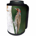 3dRose Danita Delimont - Bird - Northern Flicker male on birch tree, Marion County, Illinois - Can Cooler Bottle Wrap (cc_250990)
