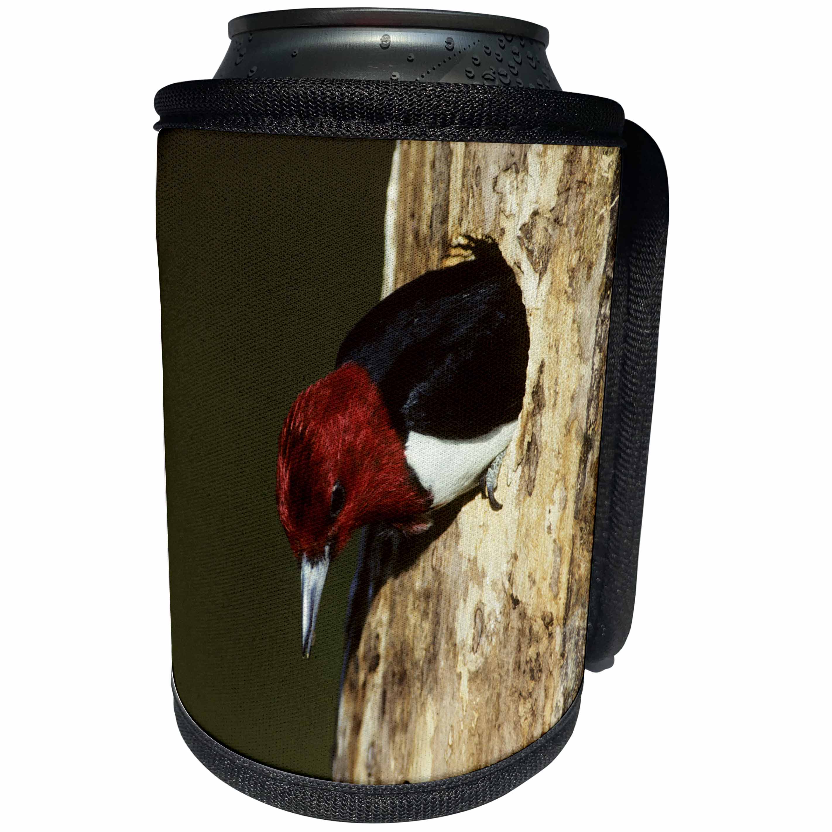 3dRose Danita Delimont - Woodpecker - Red-headed Woodpecker exiting nest cavity, Illinois - Can Cooler Bottle Wrap (cc_250992)