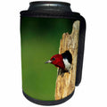 3dRose Danita Delimont - Woodpecker - Red-headed Woodpecker in nest cavity, Illinois - Can Cooler Bottle Wrap (cc_250993)