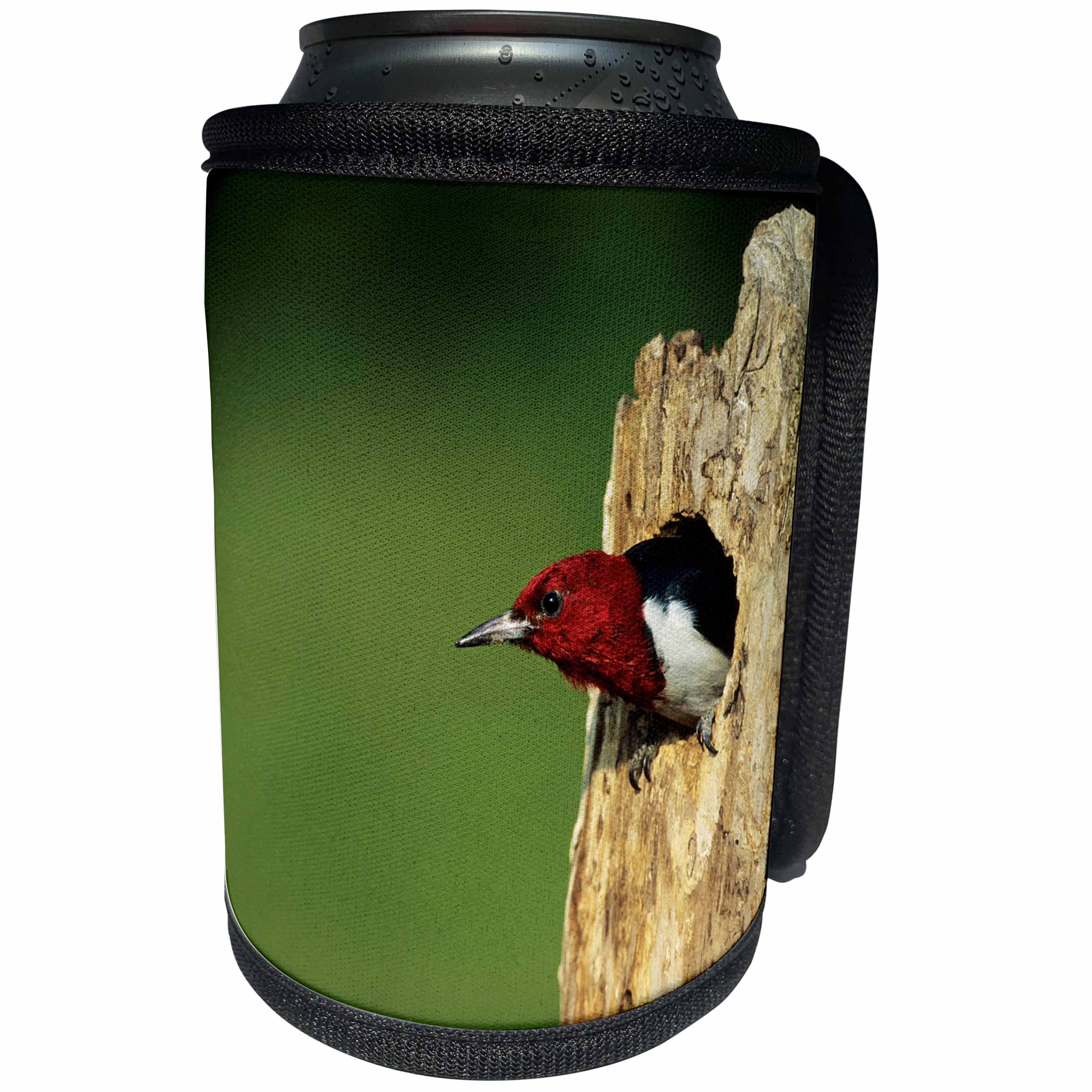 3dRose Danita Delimont - Woodpecker - Red-headed Woodpecker in nest cavity, Illinois - Can Cooler Bottle Wrap (cc_250993)