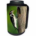 3dRose Danita Delimont - Woodpecker - Hairy Woodpecker male at nest cavity, Marion County, Illinois - Can Cooler Bottle Wrap (cc_250994)