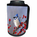 3dRose Danita Delimont - Jay - Blue Jay in icy Green Hawthorn tree, Marion County, Illinois. - Can Cooler Bottle Wrap (cc_250997)