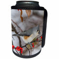 3dRose Danita Delimont - Bird - Tufted Titmouse in Common Winterberry bush in winter, Illinois - Can Cooler Bottle Wrap (cc_251000)
