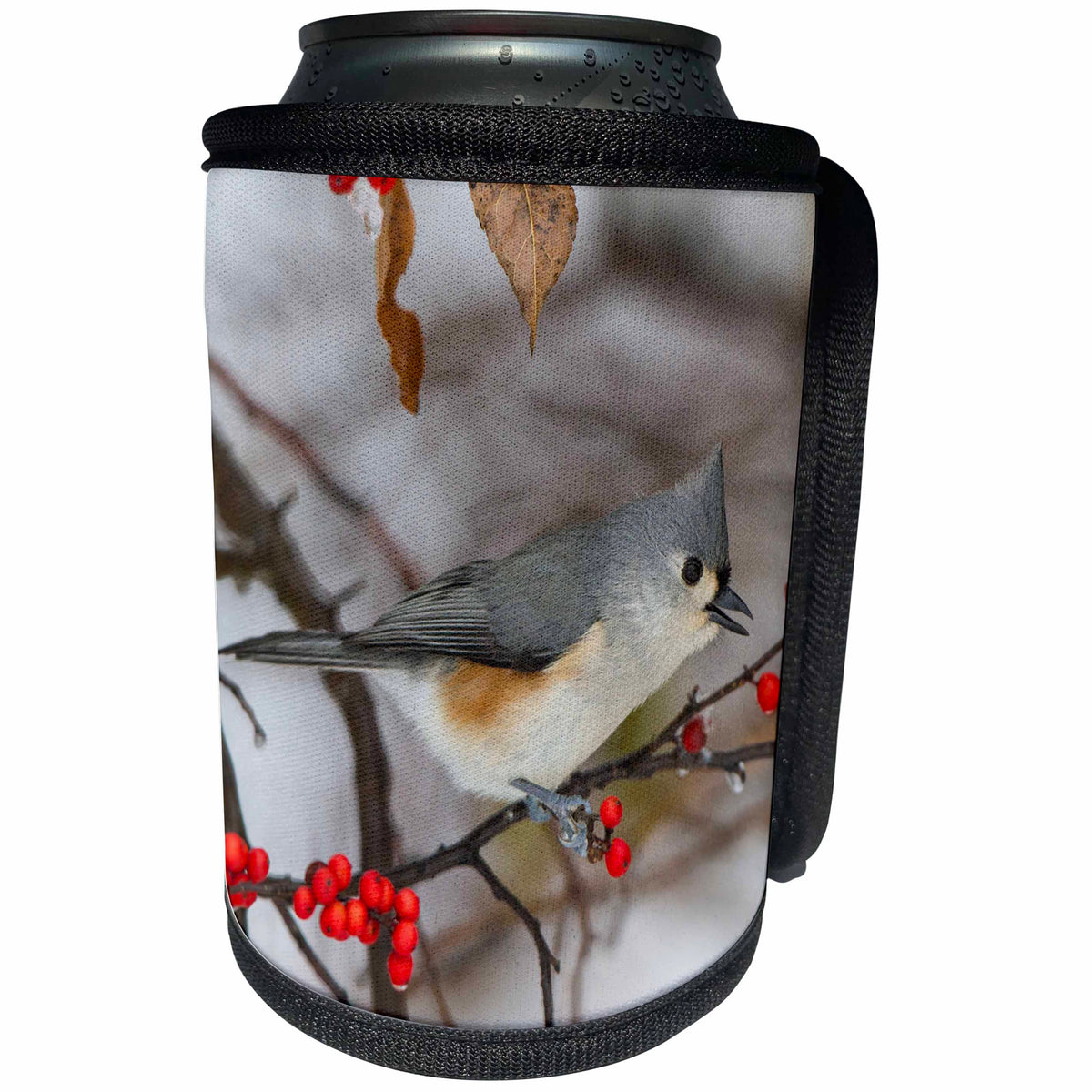 3dRose Danita Delimont - Bird - Tufted Titmouse in Common Winterberry bush in winter, Illinois - Can Cooler Bottle Wrap (cc_251000)
