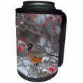 3dRose Danita Delimont - Robin - American Robin eating berry in Common Winterberry bush in winter - Can Cooler Bottle Wrap (cc_251001)