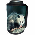 3dRose Danita Delimont - Opossum - Virginia Opossum, Didelphis Virginiana, juvenile in tree, Illinois - Can Cooler Bottle Wrap (cc_251008)