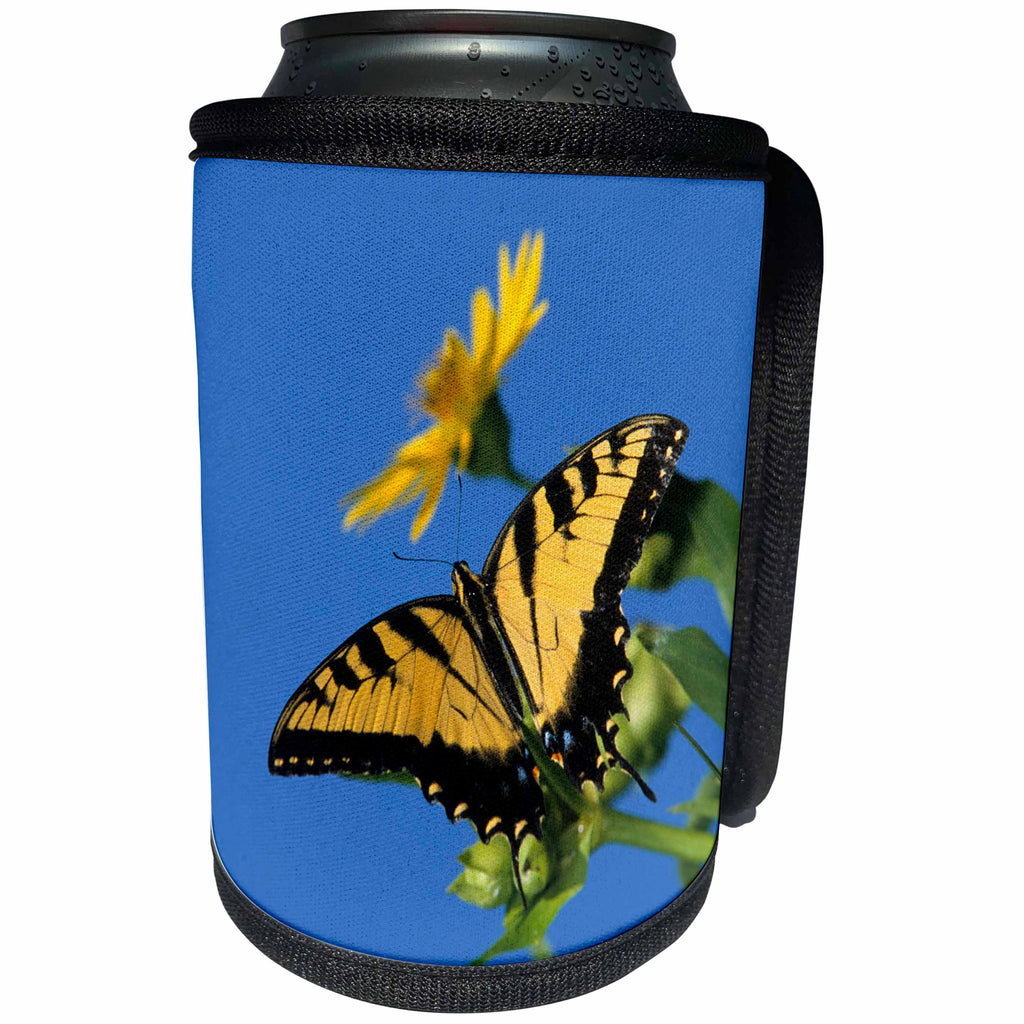 3dRose Danita Delimont - Butterfly - Eastern Tiger Swallowtail on Cup Plant, Marion County, Illinois - Can Cooler Bottle Wrap (cc_251011)