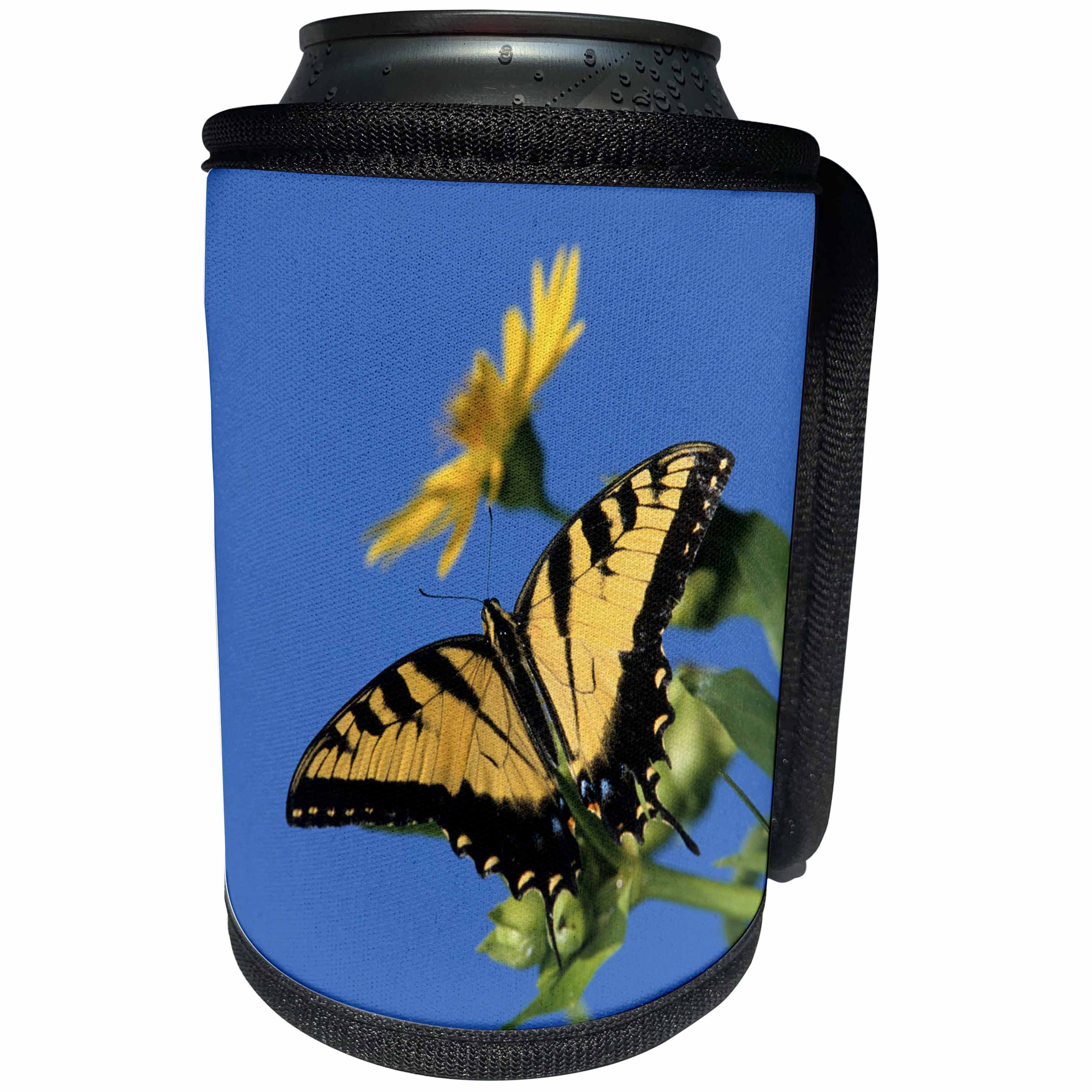 3dRose Danita Delimont - Butterfly - Eastern Tiger Swallowtail on Cup Plant, Marion County, Illinois - Can Cooler Bottle Wrap (cc_251011)