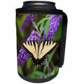 3dRose Danita Delimont - Butterfly - Eastern Tiger Swallowtail Butterfly male on Butterfly Bush, Illinois - Can Cooler Bottle Wrap (cc_251013)