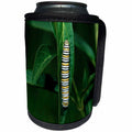 3dRose Danita Delimont - Caterpillar - Monarch caterpillar on Swamp Milkweed, Marion County, Illinois - Can Cooler Bottle Wrap (cc_251018)