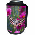 3dRose Danita Delimont - Moth - White-lined Sphinx moth on Alma Potschke Aster, Illinois - Can Cooler Bottle Wrap (cc_251024)