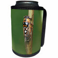 3dRose Danita Delimont - Insect - Prairie Cicada on Cup Plant, Prairie Ridge State Natural Area, IL - Can Cooler Bottle Wrap (cc_251025)