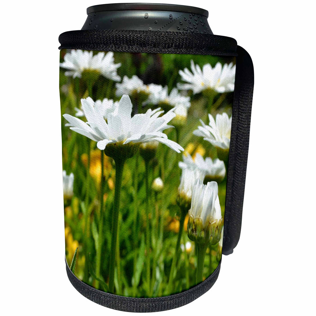 3dRose Patricia Sanders Flowers - Daisies of Summer - Can Cooler Bottle Wrap (cc_25103)
