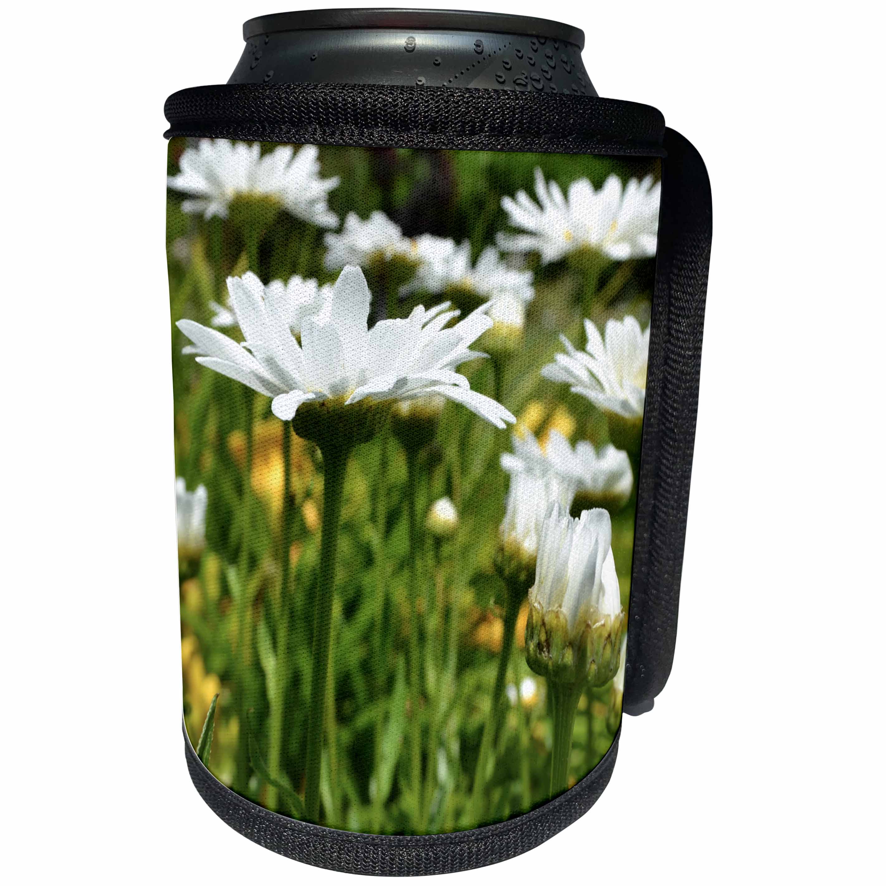 3dRose Patricia Sanders Flowers - Daisies of Summer - Can Cooler Bottle Wrap (cc_25103)