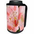 3dRose Danita Delimont - Flower - Alstroemeria close-up, Marion County, Illinois - Can Cooler Bottle Wrap (cc_251036)