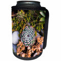 3dRose Danita Delimont - Gloucester - Massachusetts, Cape Ann, Gloucester, fall plantings, succulents - Can Cooler Bottle Wrap (cc_251152)