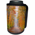 3dRose Danita Delimont - Michigan - Road in fall color, Schoolcraft County, Upper Peninsula, Michigan - Can Cooler Bottle Wrap (cc_251176)