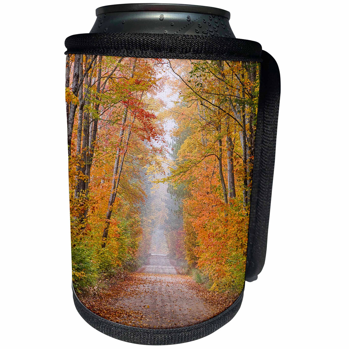 3dRose Danita Delimont - Michigan - Road in fall color, Schoolcraft County, Upper Peninsula, Michigan - Can Cooler Bottle Wrap (cc_251176)
