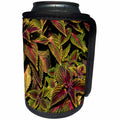 3dRose Danita Delimont - Missouri - Mr. Wonderful Coleus plant, Solenostemon scutellariodes, Missouri - Can Cooler Bottle Wrap (cc_251180)