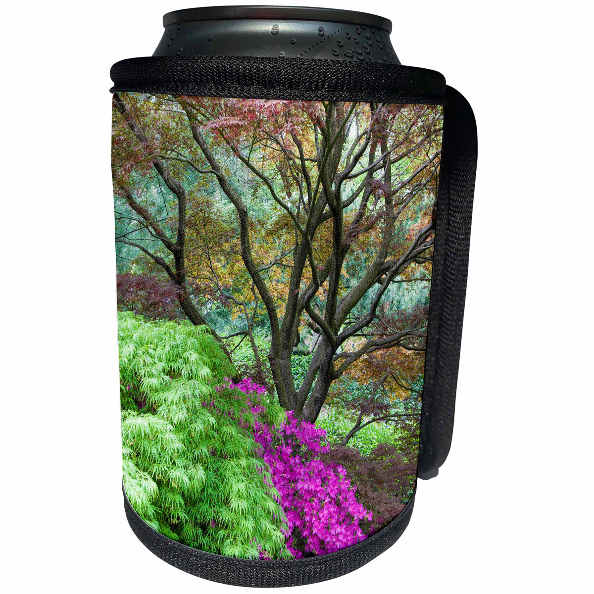 3dRose Danita Delimont - St. Louis - Japanese maples and pink azalea, St Louis, Missouri - Can Cooler Bottle Wrap (cc_251181)