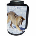 3dRose Danita Delimont - Coyote - Captive Coyote in winter snow, playing with mouse, Montana - Can Cooler Bottle Wrap (cc_251183)