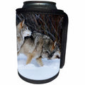 3dRose Danita Delimont - Wolf - Captive Gray Wolves running in snow in winter, Montana - Can Cooler Bottle Wrap (cc_251184)