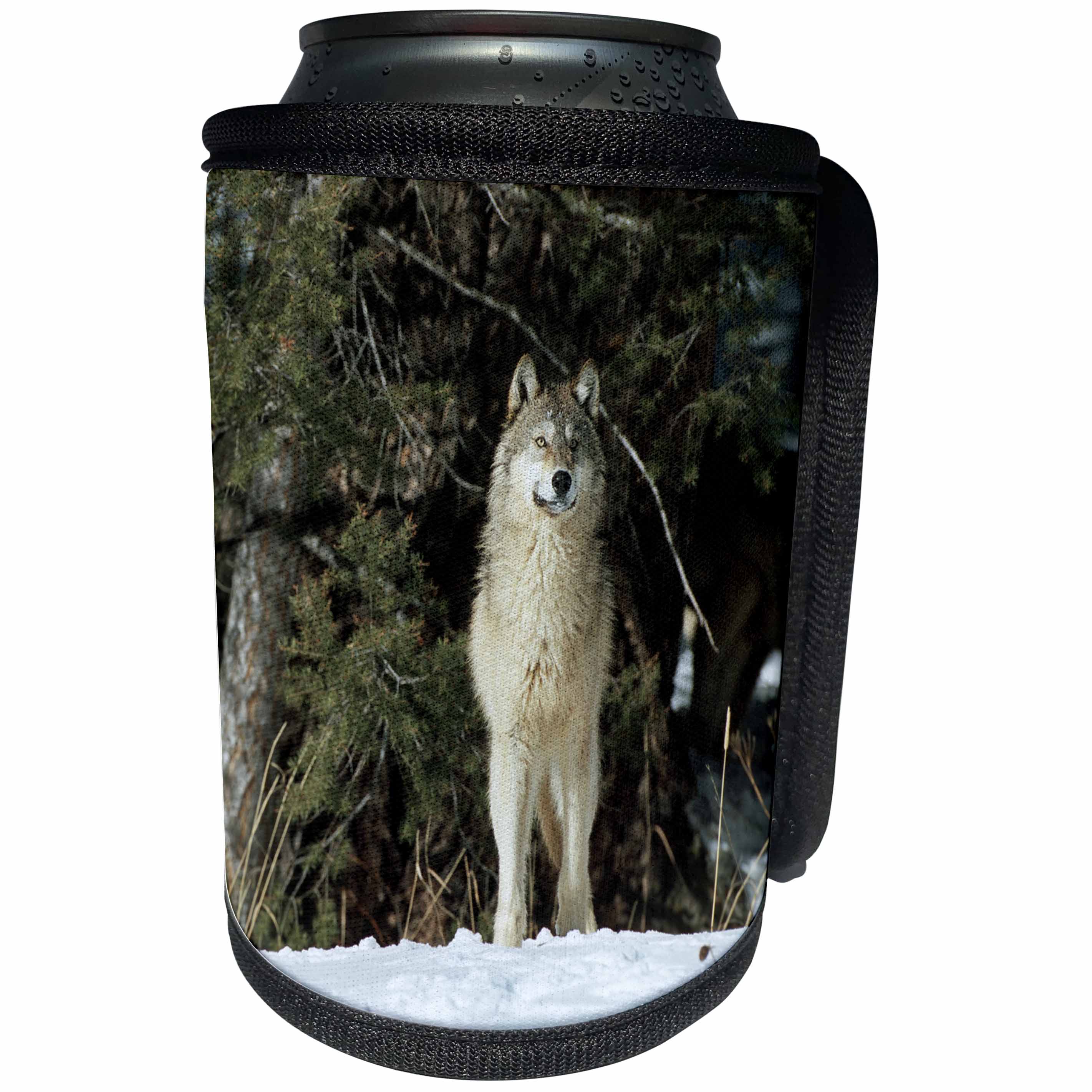 3dRose Danita Delimont - Wolf - Captive Gray Wolf in winter looking out through trees, Montana - Can Cooler Bottle Wrap (cc_251185)