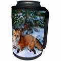 3dRose Danita Delimont - Fox - Captive Red fox walking in snow in winter, Montana - Can Cooler Bottle Wrap (cc_251186)