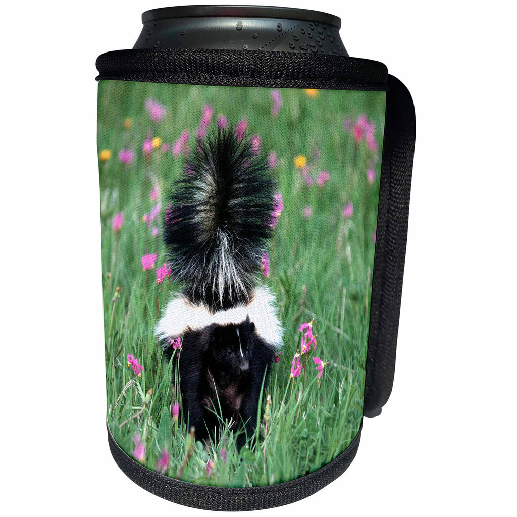 3dRose Danita Delimont - Skunk - Captive striped skunk in field of flowers, Montana - Can Cooler Bottle Wrap (cc_251189)